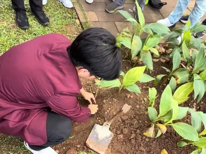 Freshmen tree-planting activity
