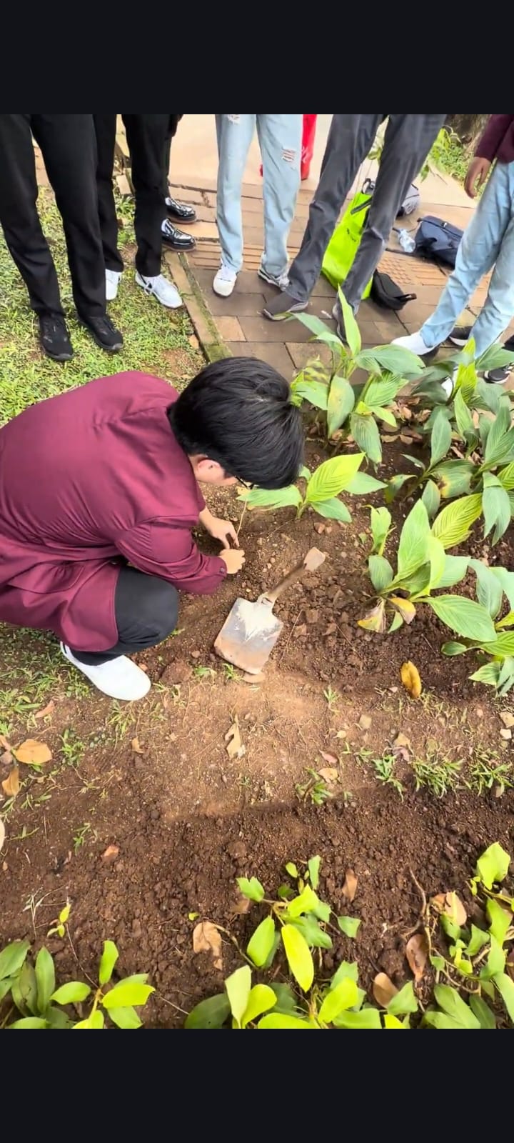 Freshmen tree-planting activity